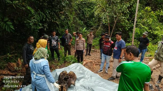 Proses investigasi kasus kematian gajah sumatera dilakukan tim medis dan konservasi BBKSDA Riau di lokasi penemuan bangkai satwa dilindungi tersebut—yang ditemukan dalam kondisi mengenaskan tanpa kepala—di kawasan hutan konservasi Desa Pelalawan, Kabupaten Pelalawan. (dok. BBKSDA Riau)