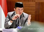 Semakin Diserang, Semakin Terlihat: Siapa Sebenarnya Teddy?