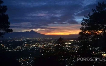 Senja di Bogor: Silaturahmi yang Menjaga Adab